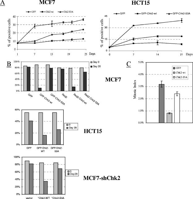 FIG. 8.