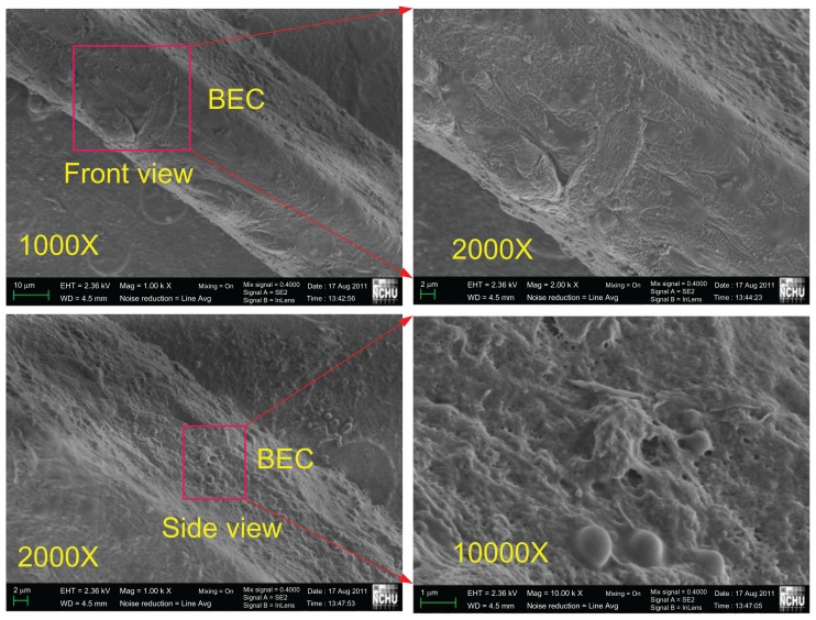 Figure 10