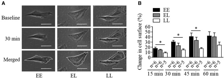 Figure 7.