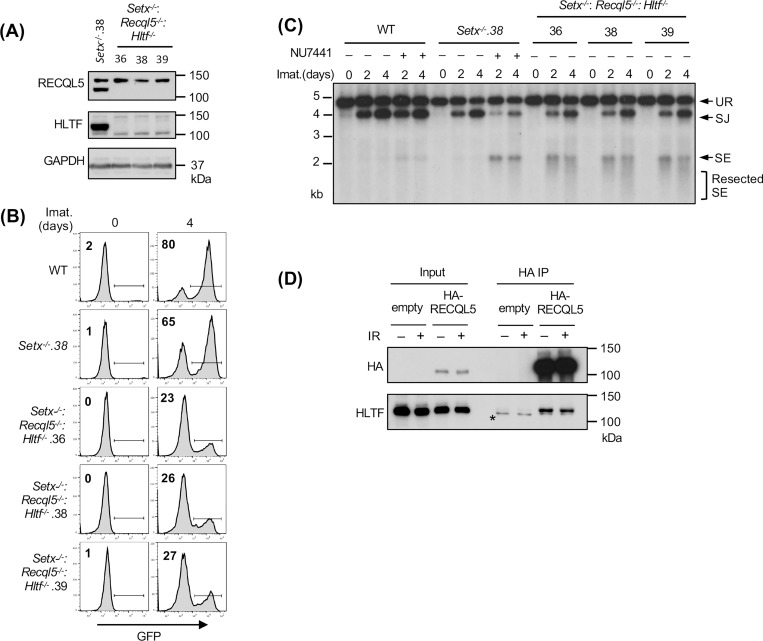 Figure 6: