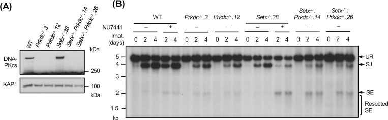 Figure 3: