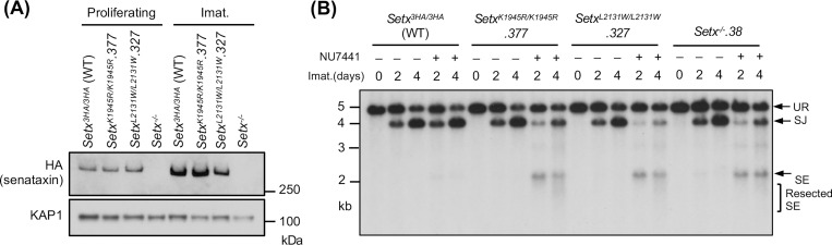 Figure 4: