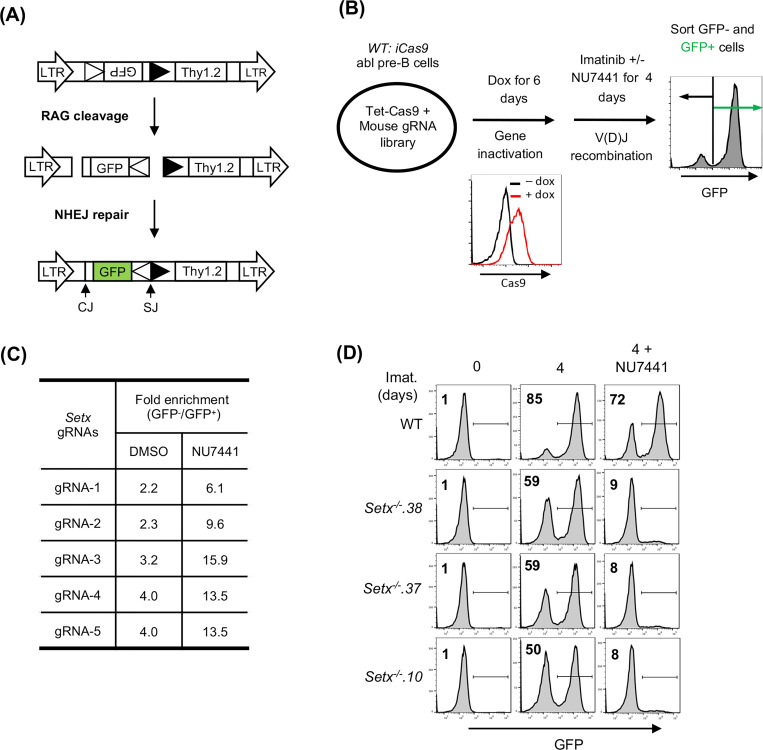 Figure 1: