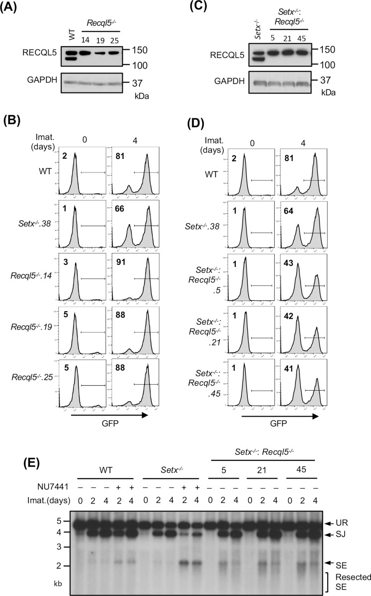 Figure 5: