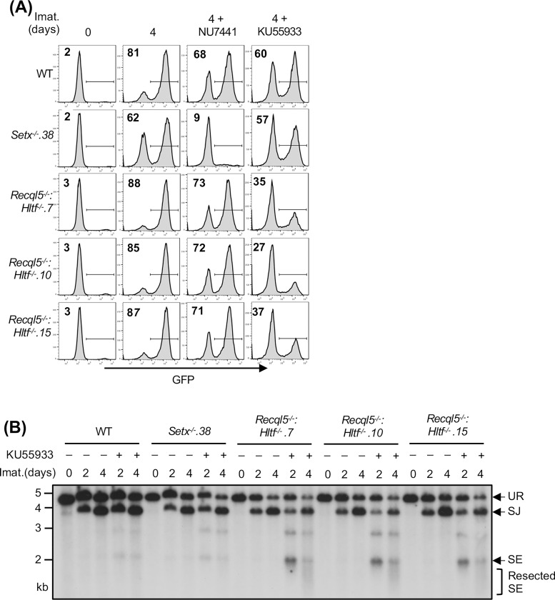 Figure 7: