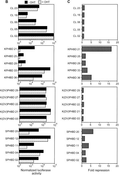 Figure 2B, C.