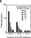 Figure 2E.