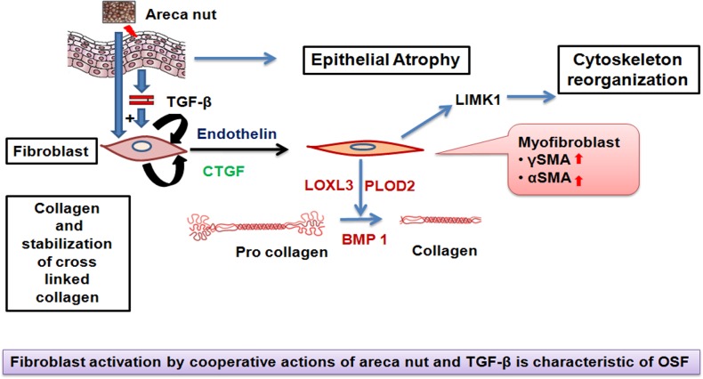 Fig 11