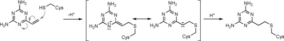 Scheme 3