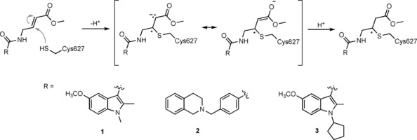 Scheme 1