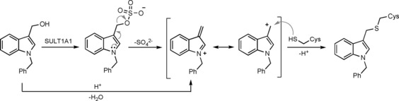 Scheme 2