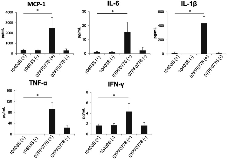 FIG 3