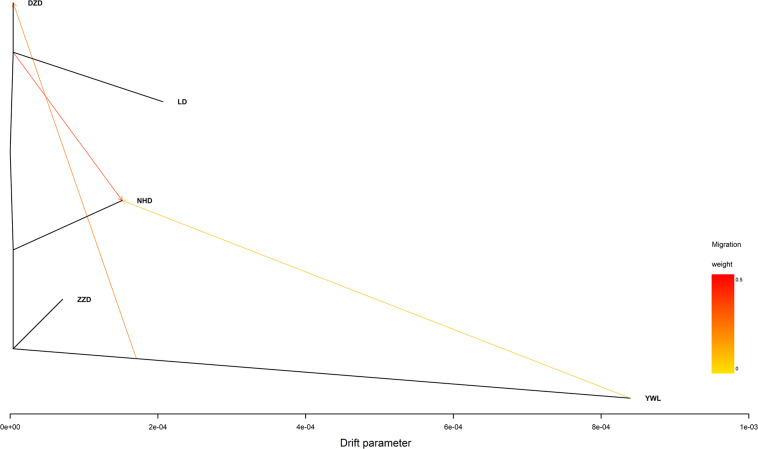 FIGURE 5