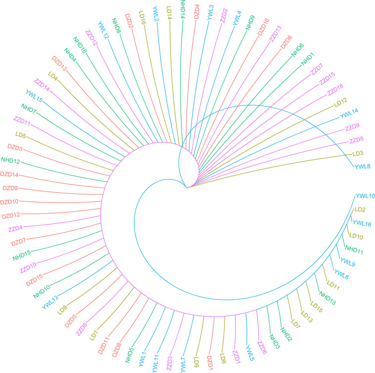 FIGURE 4