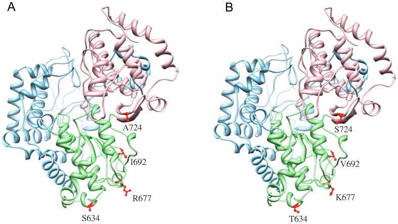 Figure 5