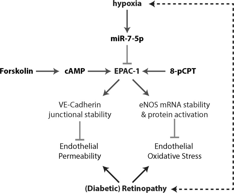 Fig. 6