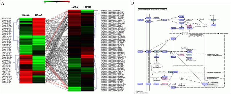 Fig 4