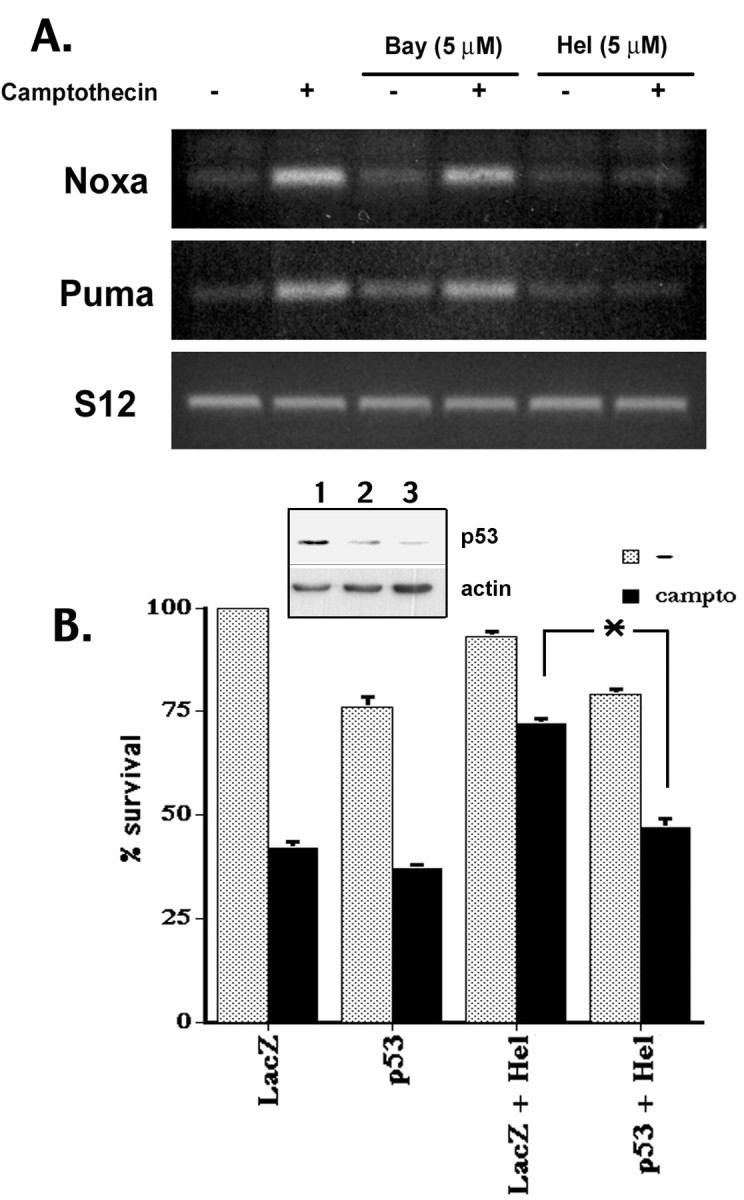 
Figure 10.
