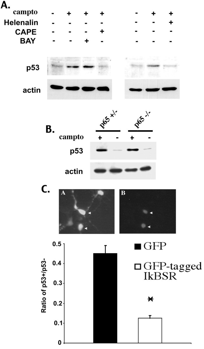 
Figure 9.
