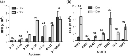 Figure 6.