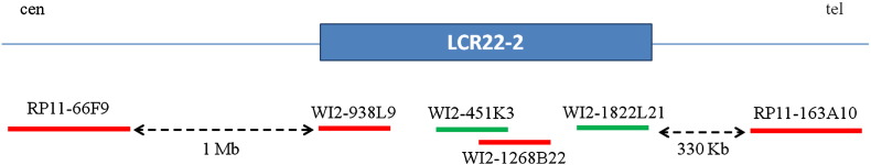 Fig. 1