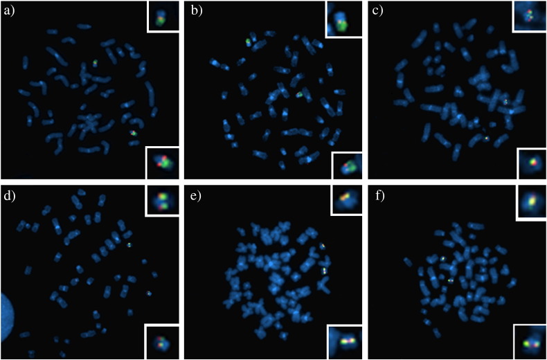 Fig. 2