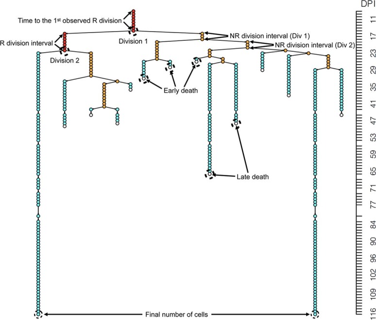 Extended Data Fig. 2