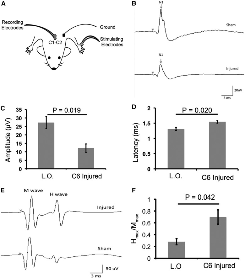 FIG. 7.