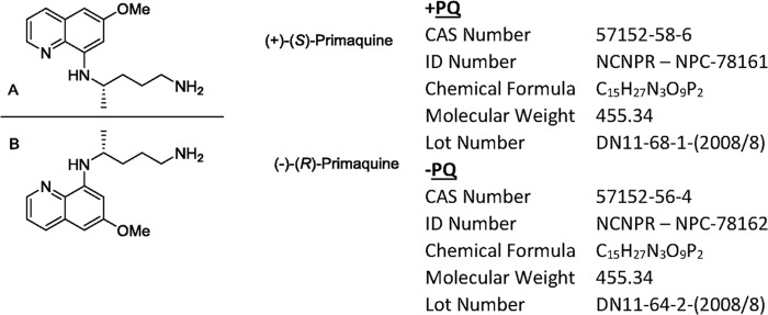 FIG 1