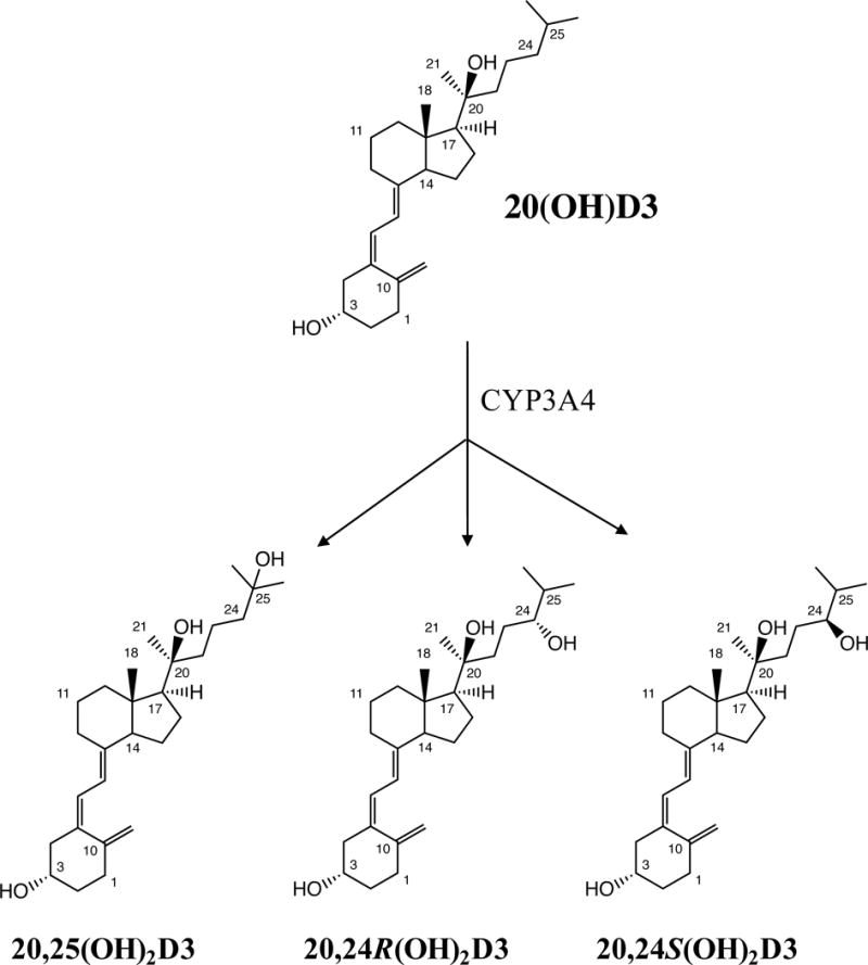 Fig. 8