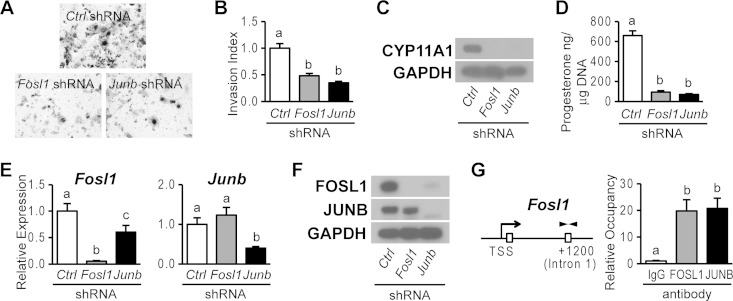 FIG 8