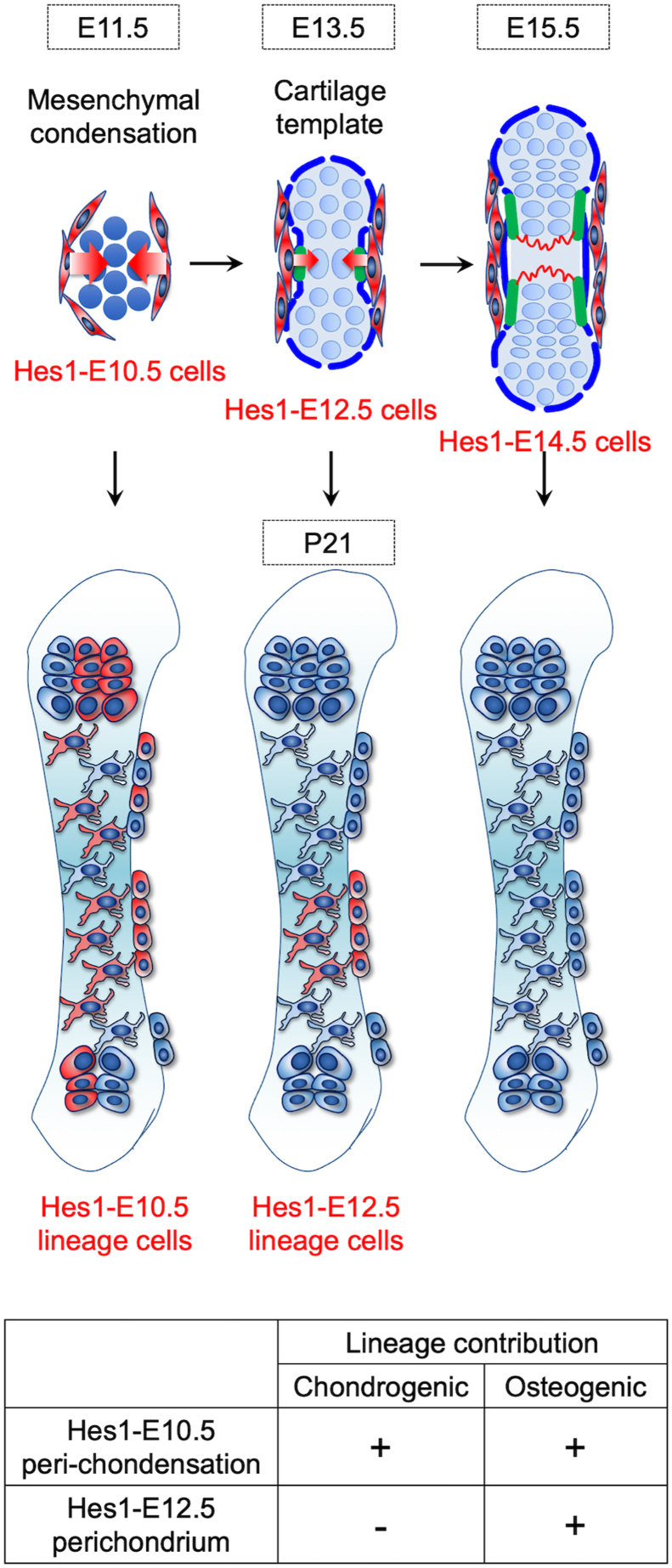 Figure 6