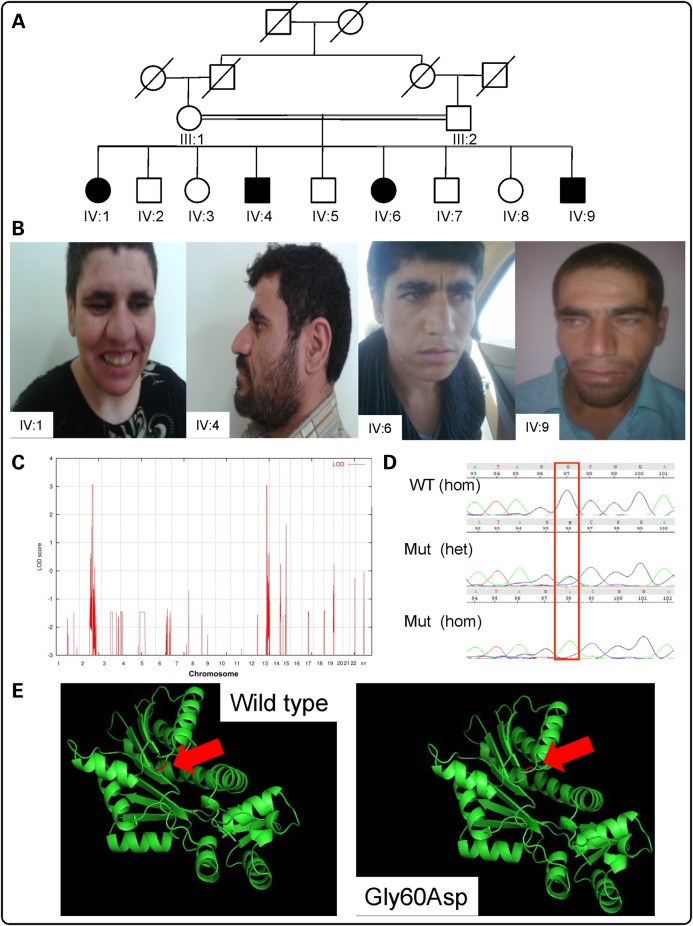 Figure 1.