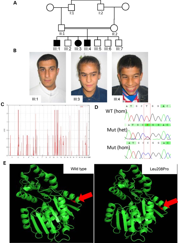 Figure 2.