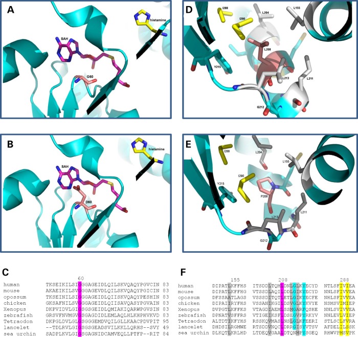 Figure 3.