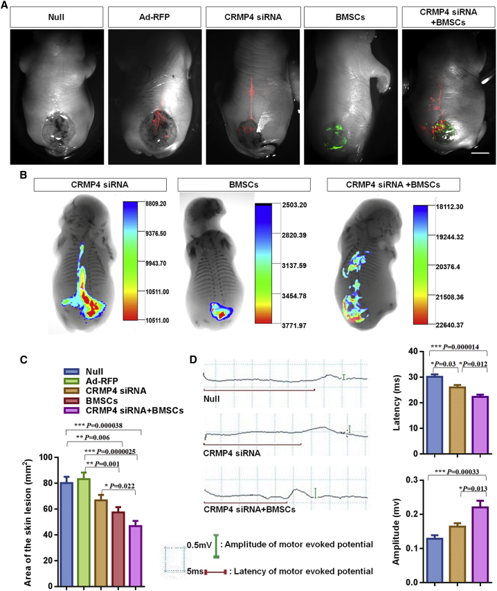 Figure 2