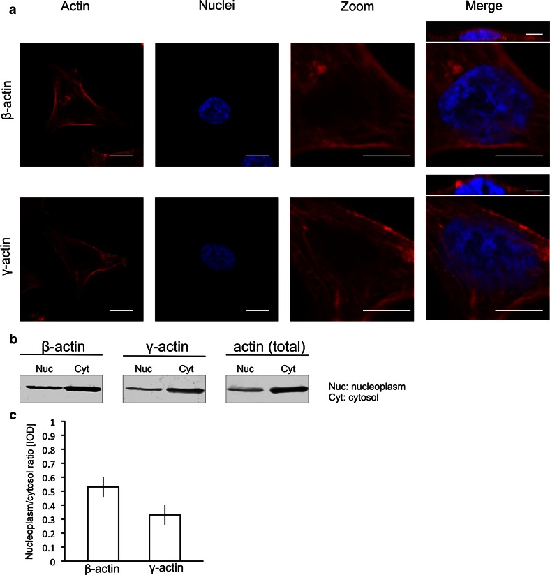 Fig. 2