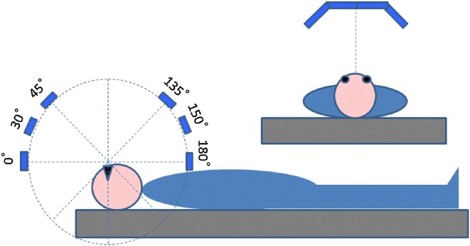 Fig. 1