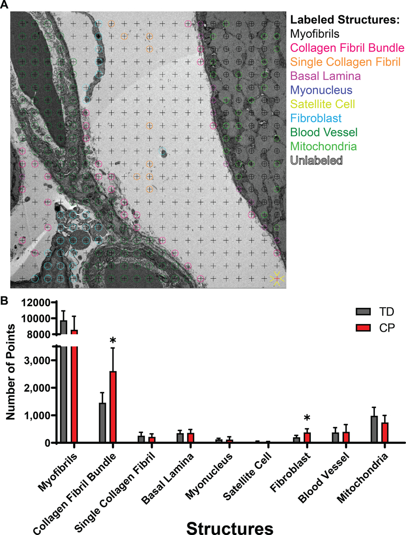 Figure 5: