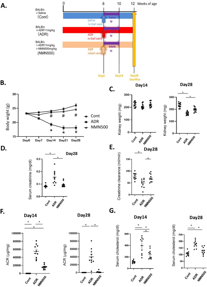Figure2