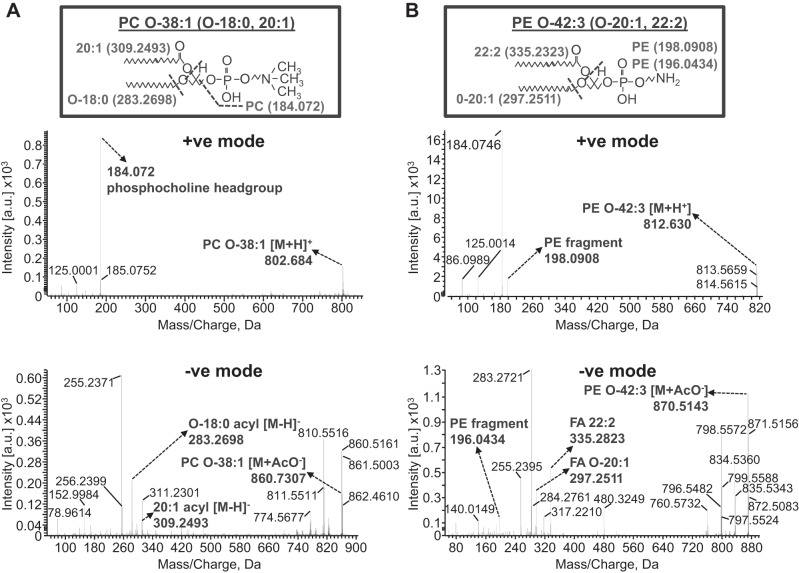 Fig. 3.