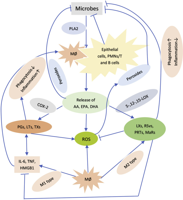 Figure 3