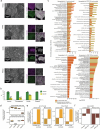 Extended Data Fig. 2