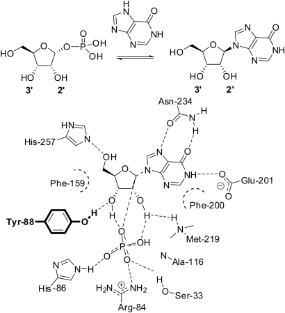 Fig. 1