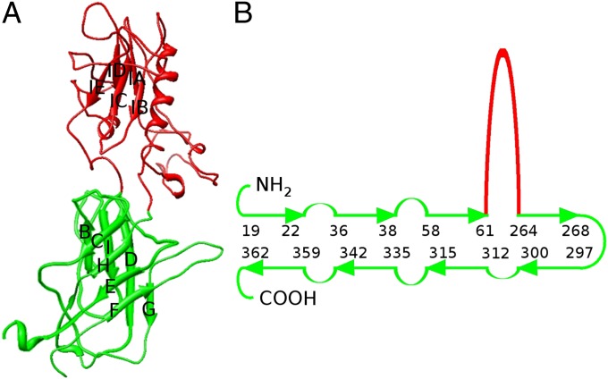 Fig. 4.