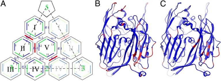 Fig. 5.