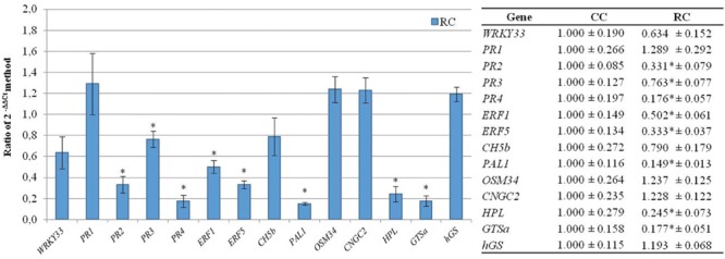 FIGURE 4