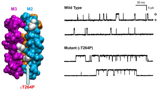 FIGURE 20