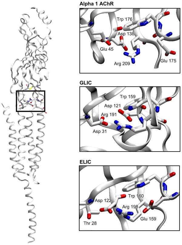 FIGURE 11