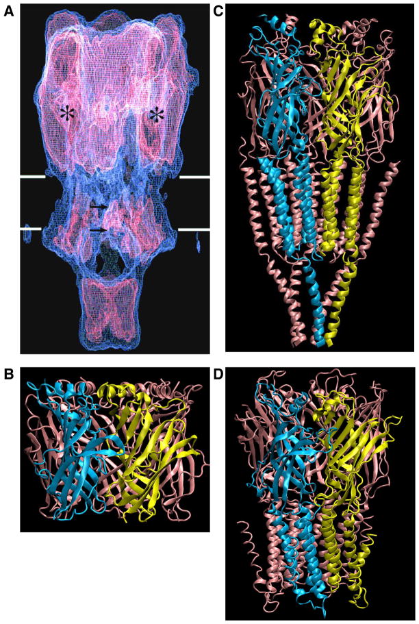 FIGURE 4